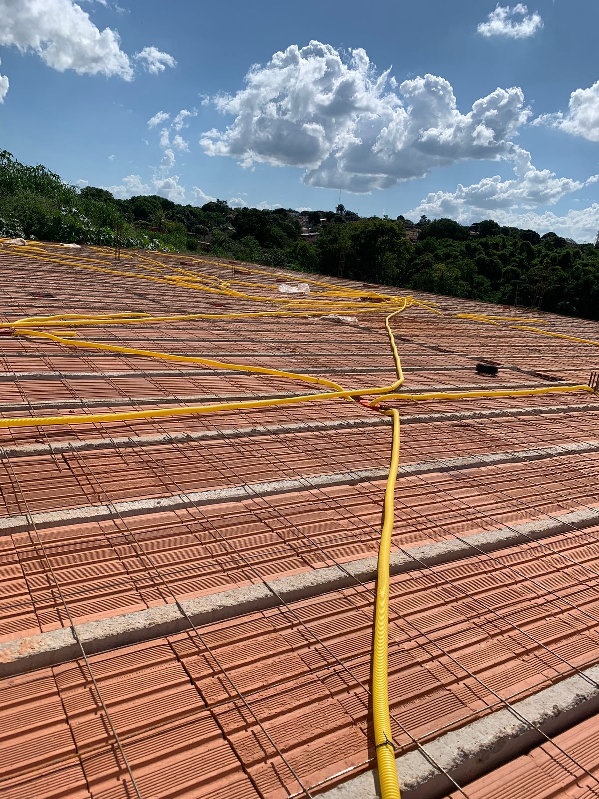 WhatsApp Image 2023-08-01 at 09.36.55