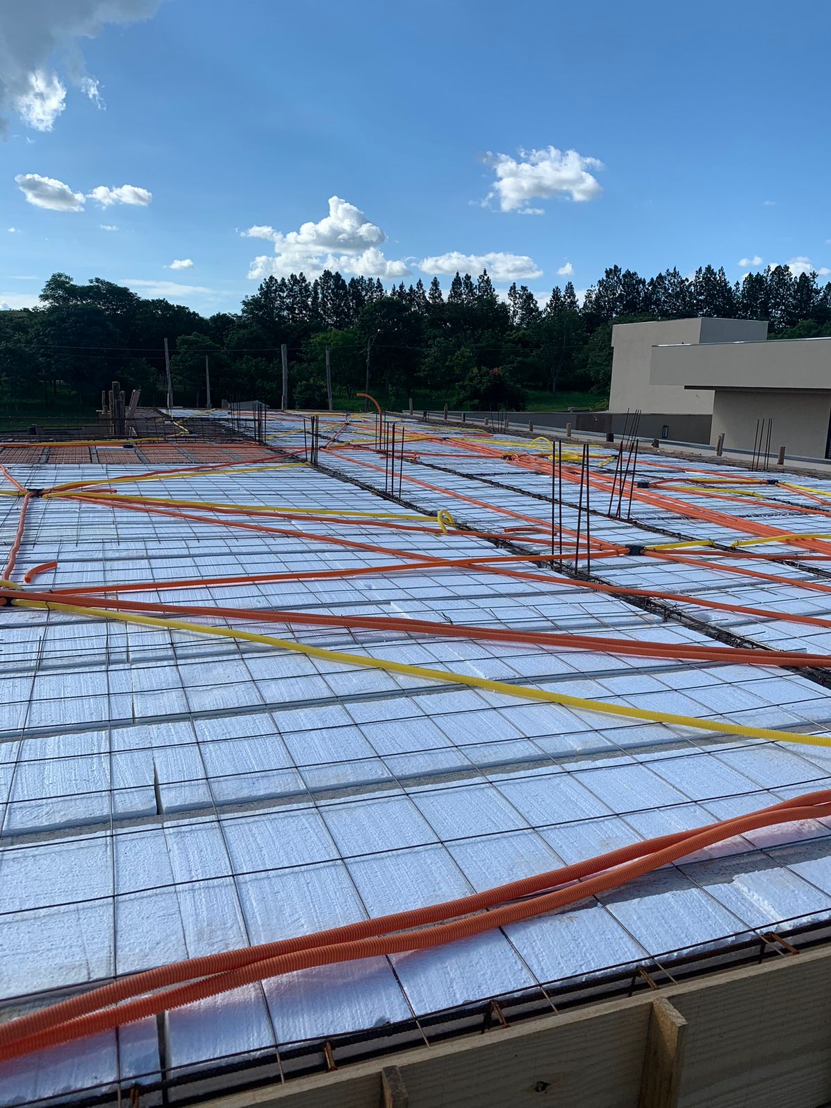 WhatsApp Image 2023-08-01 at 09.38.20